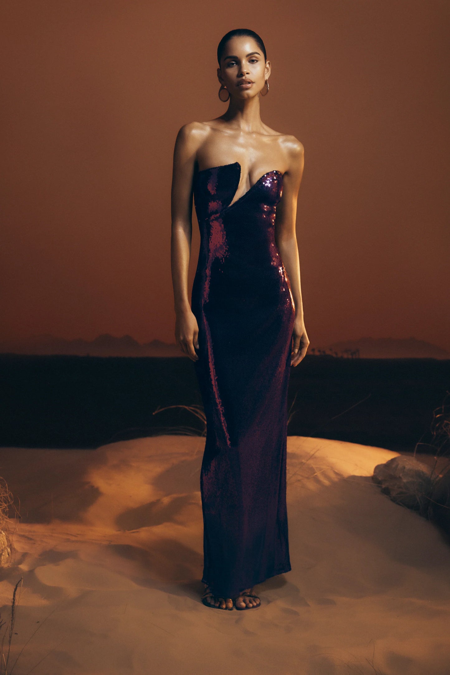 Winston strapless sequin maxi dress plum