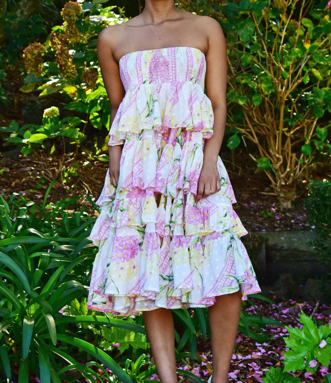 Star rara skirt/dress