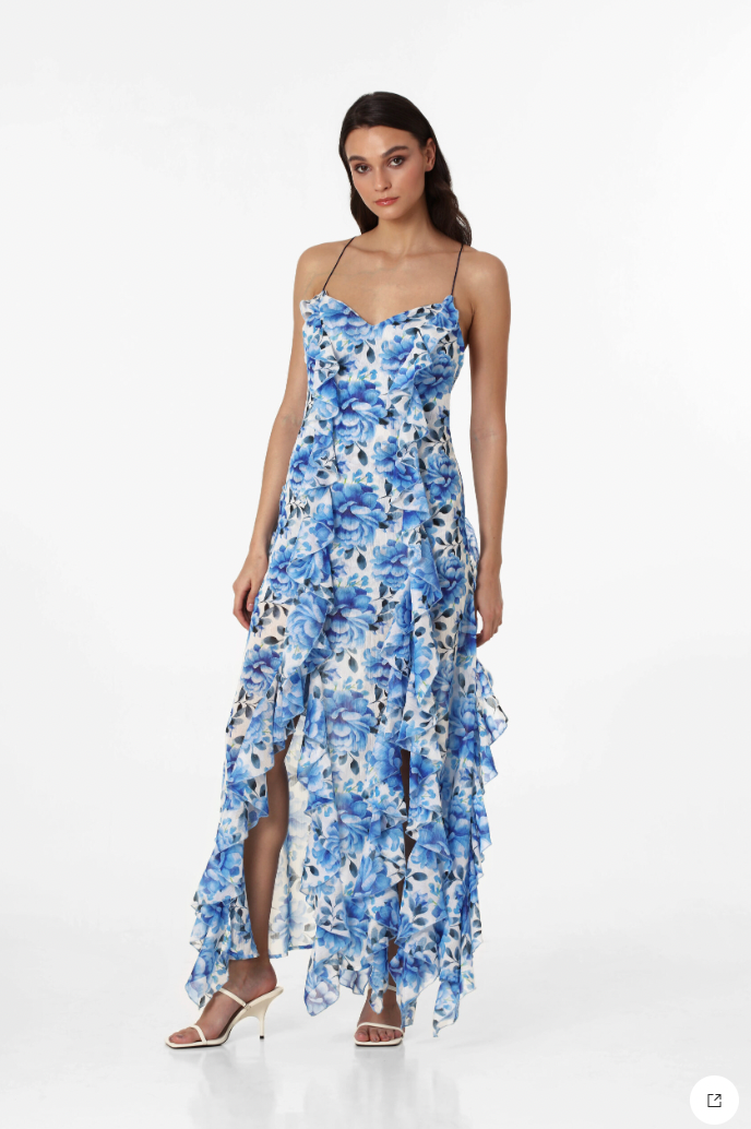 Blue Roses maxi dress