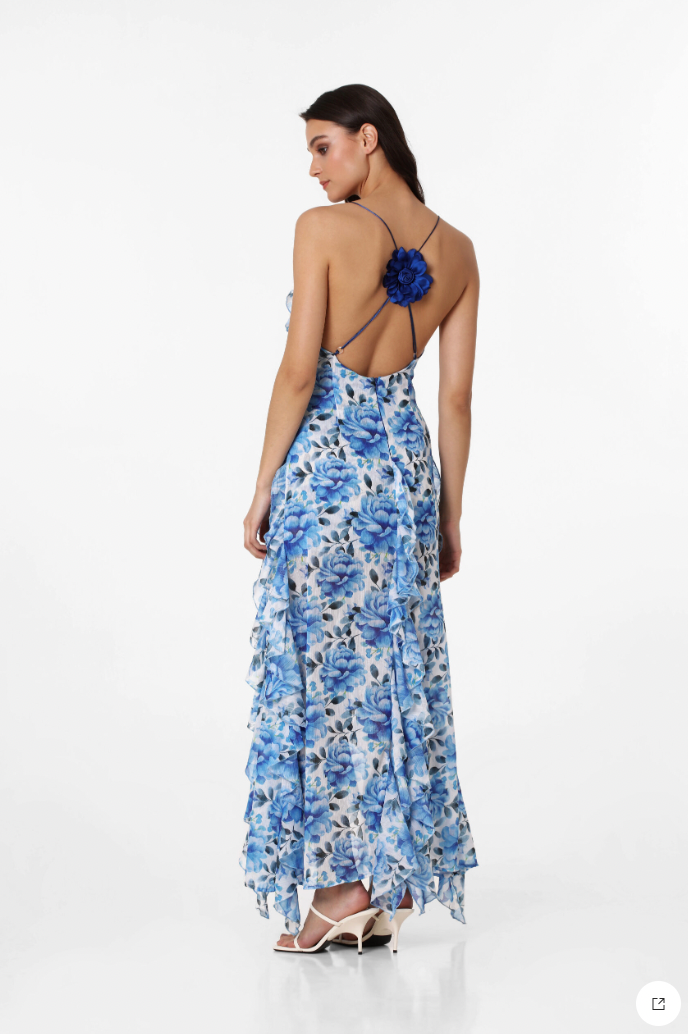 Blue Roses maxi dress