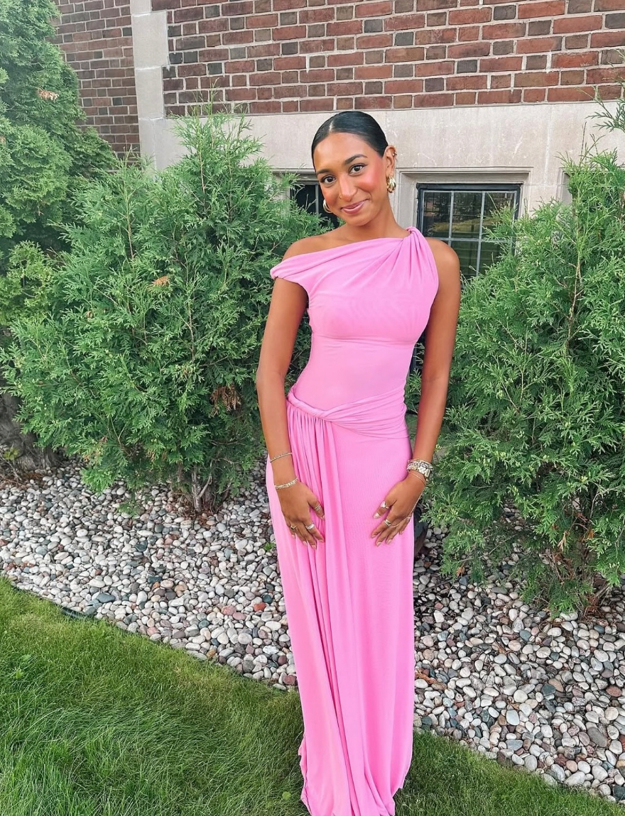 The silas mesh dress pink